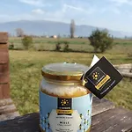 La Semente Spello