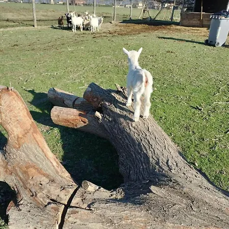 La Semente Farm stay *