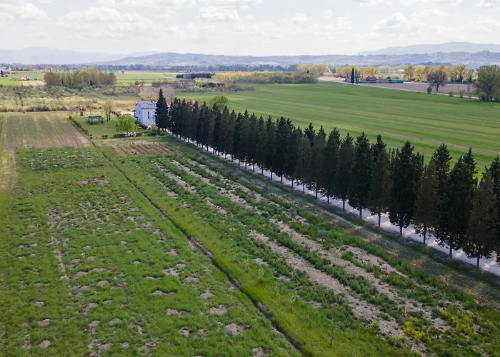 Feriegård La Semente