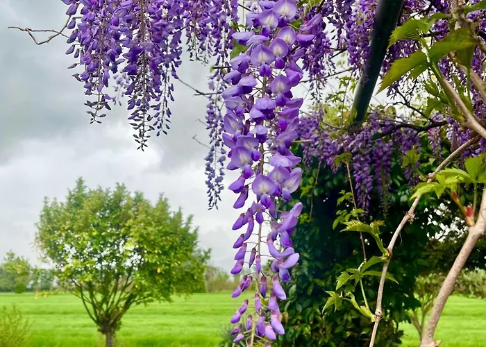 Feriegård La Semente *