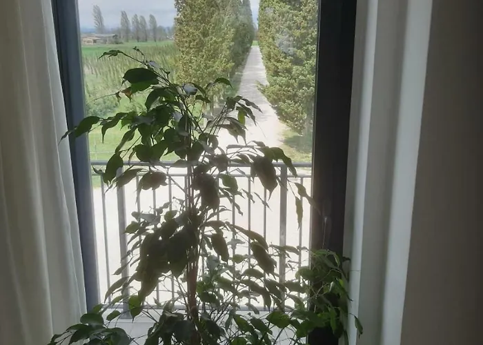 La Semente مزرعة للإقامة